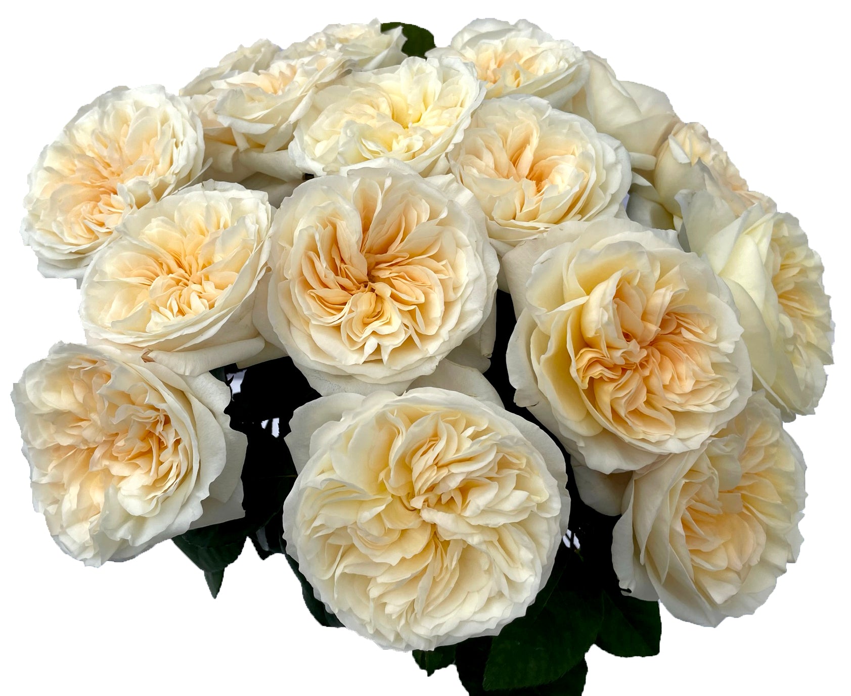 Owner 10501 Rose White Kiss 8 - Fishing Hook With Unique "Kissing" Design For Enhanced Performance