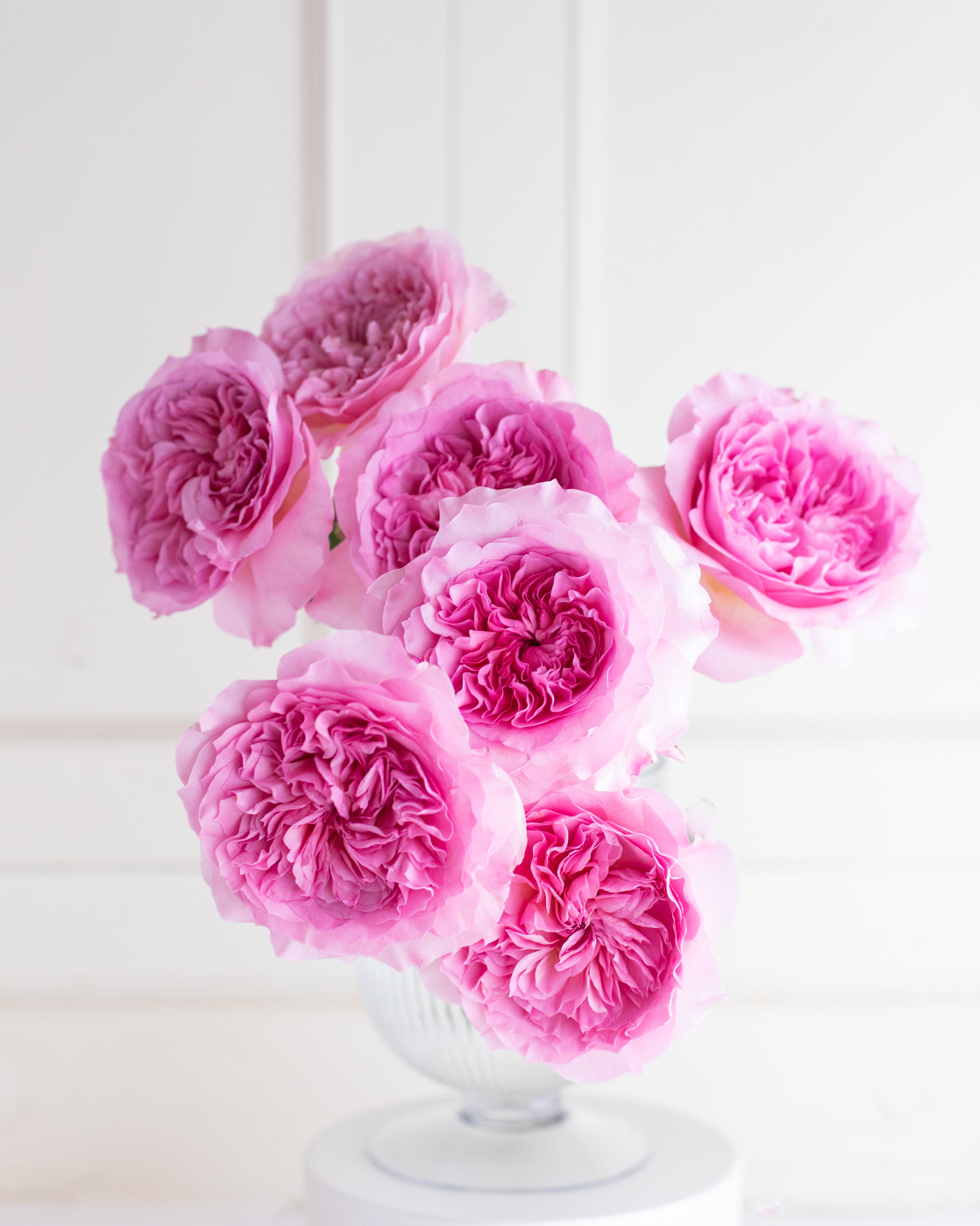 Millicent™ David Austin® Rose Bouquet For Sale At My Rose Shop