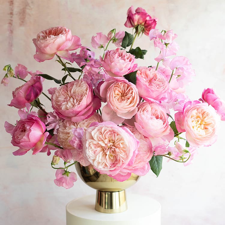 Constance™ David Austin® Rose Bouquet For Sale At My Rose Shop