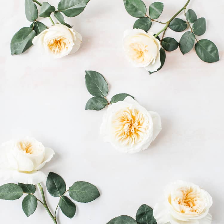 Bessie™ David Austin® Rose Bouquet For Sale At My Rose Shop