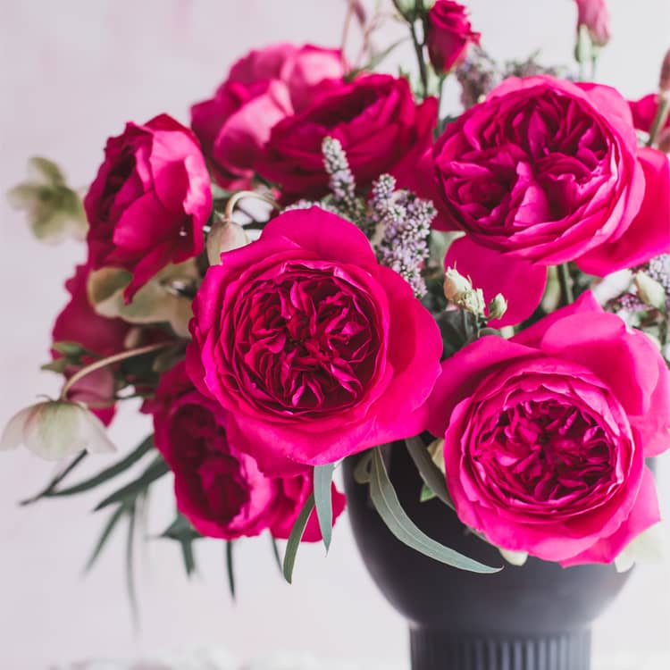 Capability™ David Austin® Rose Bouquet For Sale At My Rose Shop