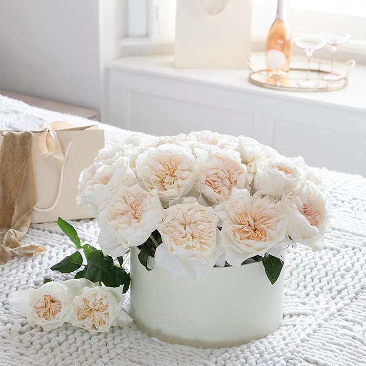 Eugenie™ David Austin® Rose Bouquet For Sale At My Rose Shop