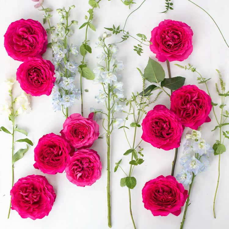 Capability™ David Austin® Rose Bouquet For Sale At My Rose Shop