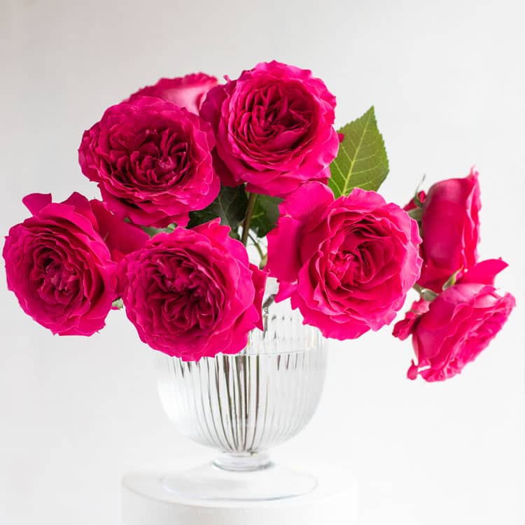 Hettie™ David Austin® Rose Bouquet