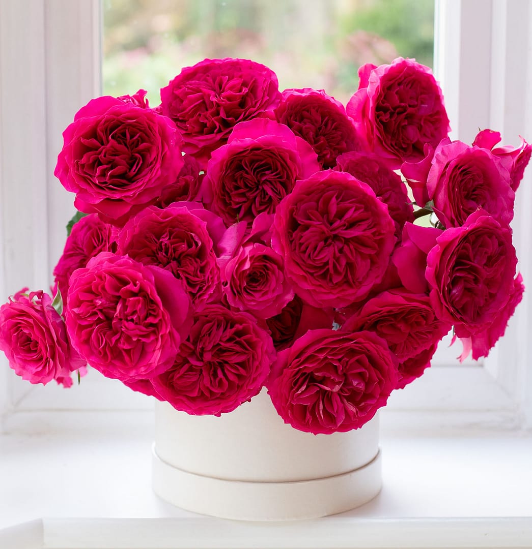 Hettie™ David Austin® Rose Bouquet