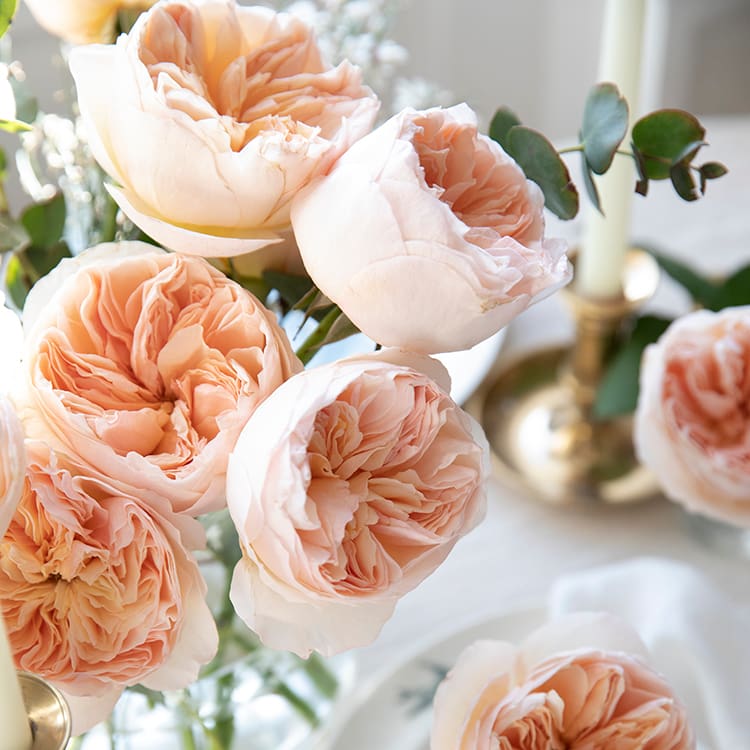 Juliet™ David Austin® Rose Bouquet For Sale At Rose Shop