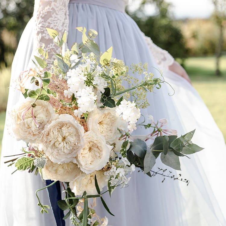 Patience™ David Austin® Rose Bouquet For Sale At My Rose Shop