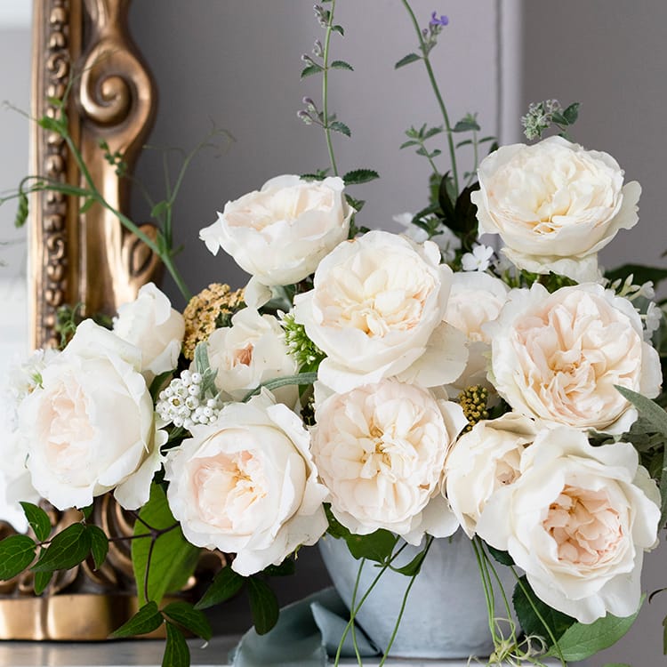 Purity™ David Austin® Rose Bouquet For Sale At My Rose Shop