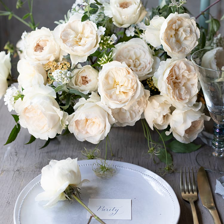 Purity™ David Austin® Rose Bouquet For Sale At My Rose Shop