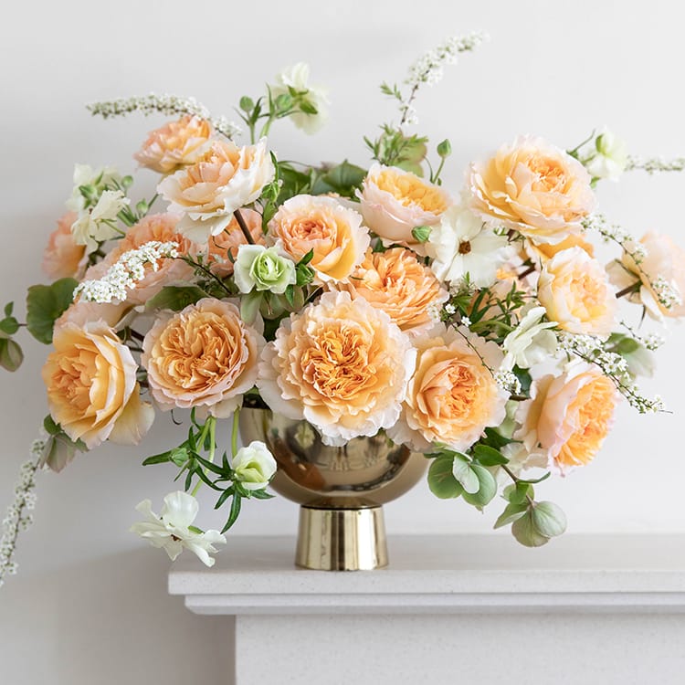 Beatrice™ David Austin® Rose Bouquet For Sale At My Rose Shop