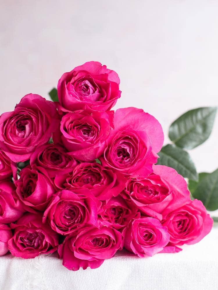Capability™ David Austin® Rose Bouquet For Sale At My Rose Shop