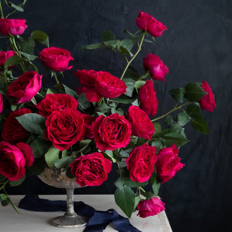 Darcey™ David Austin® Rose Bouquet For Sale At My Rose Shop 