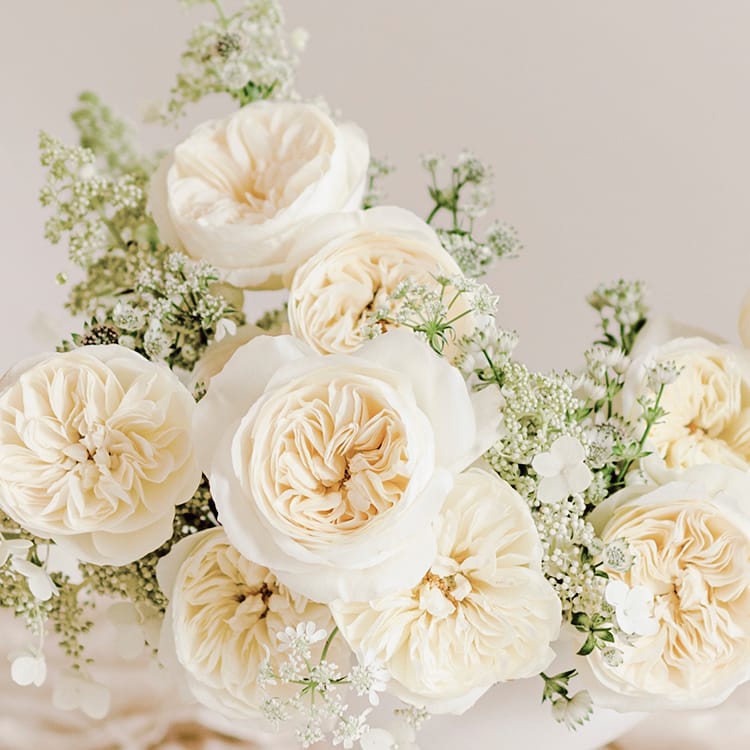 Leonora™ David Austin® Rose Bouquet For Sale At My Rose Shop