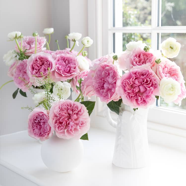 Miranda™ David Austin® Rose Bouquet for sale at My Rose Shop