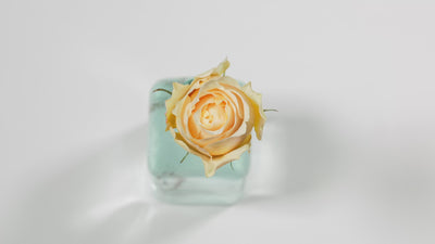 Effie™ David Austin® Rose Bouquet For Sale At My Rose Shop
