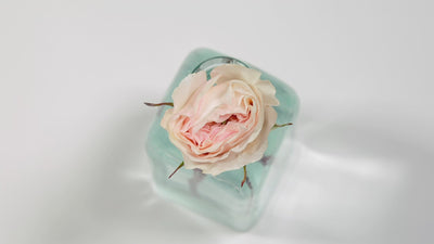 Charity™ David Austin® Rose Bouquet For Sale At My Rose Shop