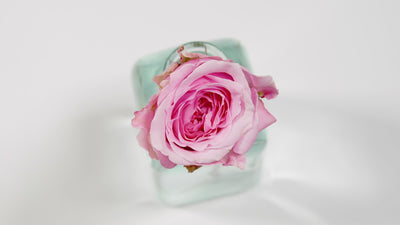 Miranda™ David Austin® Rose Bouquet for sale at My Rose Shop