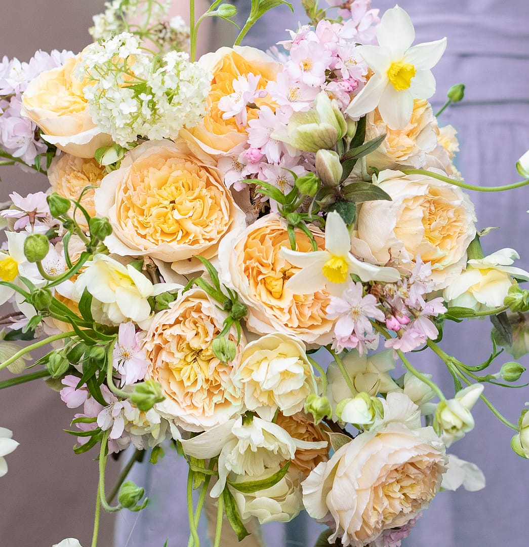 Beatrice™ David Austin® Rose Bouquet For Sale At My Rose Shop